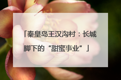 秦皇岛王汉沟村：长城脚下的“甜蜜事业”