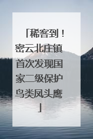 稀客到！密云北庄镇首次发现国家二级保护鸟类凤头鹰