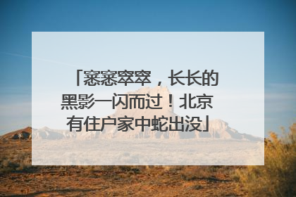 窸窸窣窣，长长的黑影一闪而过！北京有住户家中蛇出没