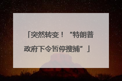 突然转变！“特朗普政府下令暂停搜捕”