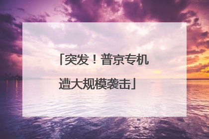 突发！普京专机遭大规模袭击