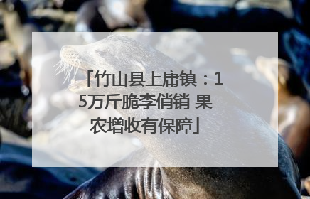 竹山县上庸镇：15万斤脆李俏销 果农增收有保障