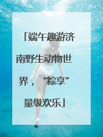 端午趣游济南野生动物世界，“粽享”量级欢乐