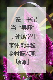 第一书记当“导师”，外籍学生来怀柔体验乡村振兴现场课