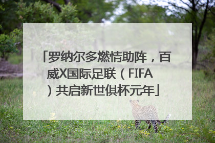 罗纳尔多燃情助阵，百威X国际足联（FIFA）共启新世俱杯元年