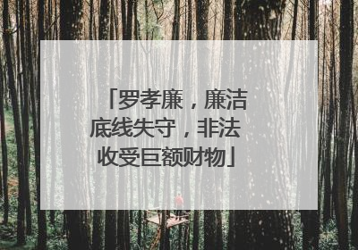 罗孝廉，廉洁底线失守，非法收受巨额财物