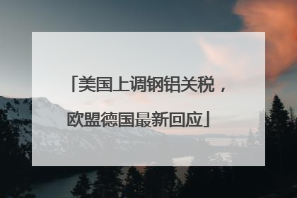 美国上调钢铝关税，欧盟德国最新回应