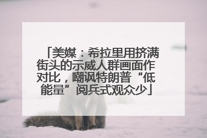 美媒：希拉里用挤满街头的示威人群画面作对比，嘲讽特朗普“低能量”阅兵式观众少