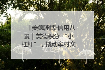 美德淄博·信用八景｜美德积分 “小杠杆”，撬动牟村文明 “大能量”