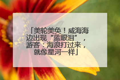 美轮美奂！威海海边出现“蓝眼泪”，游客：海浪打过来，就像星河一样