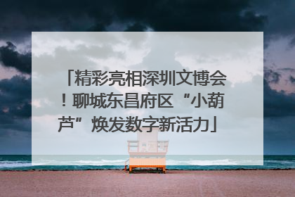 精彩亮相深圳文博会！聊城东昌府区“小葫芦”焕发数字新活力