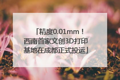 精度0.01mm！西南首家文创3D打印基地在成都正式投运