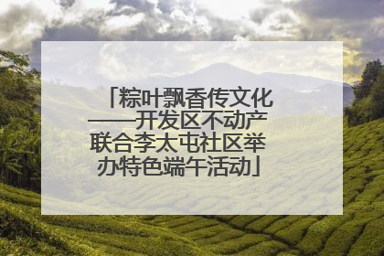 粽叶飘香传文化——开发区不动产联合李太屯社区举办特色端午活动