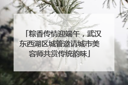 粽香传情迎端午，武汉东西湖区城管邀请城市美容师共赏传统韵味