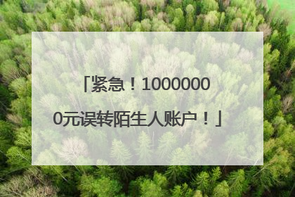 紧急！10000000元误转陌生人账户！
