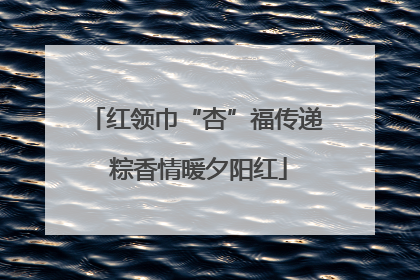 红领巾“杏”福传递 粽香情暖夕阳红