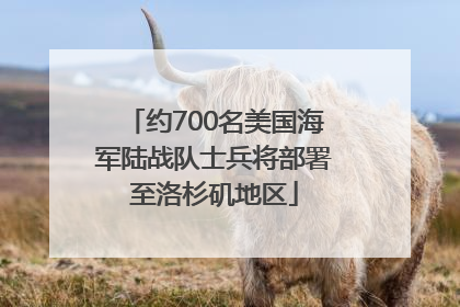 约700名美国海军陆战队士兵将部署至洛杉矶地区