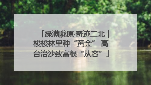 绿满陇原·奇迹三北｜梭梭林里种“黄金” 高台治沙致富很“从容”