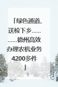 绿色通道、送检下乡…………德州高效办理农机业务4200多件