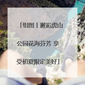 组图丨邂逅虎山公园花海芬芳 享受初夏限定美好