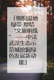 细织湿地绿带 厚结“文旅明珠”——中法武汉生态示范城挖掘绿色发展新动能