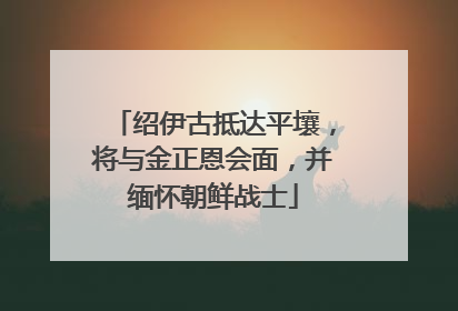 绍伊古抵达平壤，将与金正恩会面，并缅怀朝鲜战士
