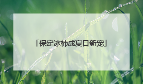保定冰柿成夏日新宠