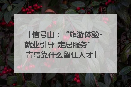 信号山：“旅游体验-就业引导-定居服务” 青岛靠什么留住人才
