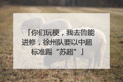 你们玩梗，我去鲁能进修，徐州队要以中超标准踢“苏超”