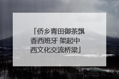 侨乡青田御茶飘香西班牙 架起中西文化交流桥梁