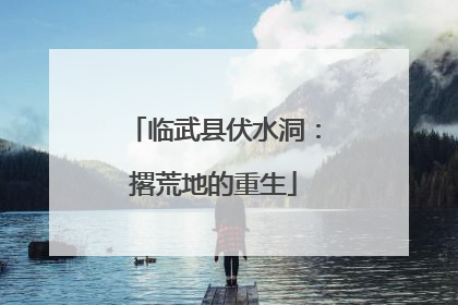 临武县伏水洞：撂荒地的重生