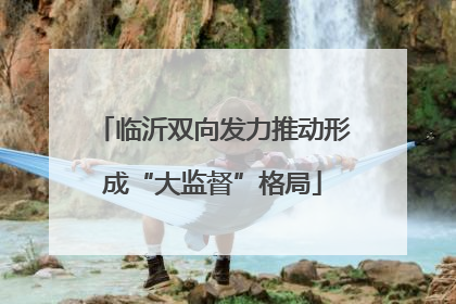 临沂双向发力推动形成“大监督”格局