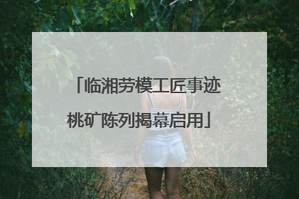 临湘劳模工匠事迹桃矿陈列揭幕启用