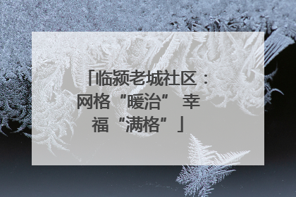 临颍老城社区：网格“暖治” 幸福“满格”