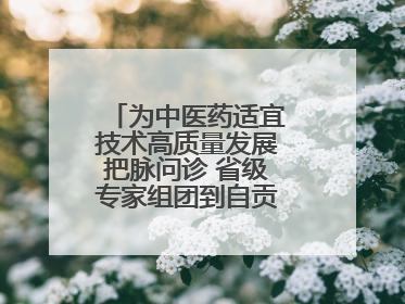 为中医药适宜技术高质量发展把脉问诊 省级专家组团到自贡现场教学授课