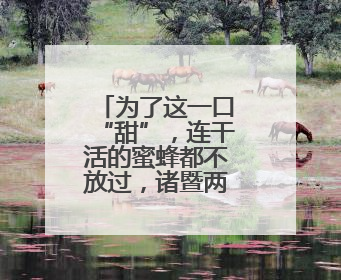 为了这一口“甜”，连干活的蜜蜂都不放过，诸暨两男子被抓