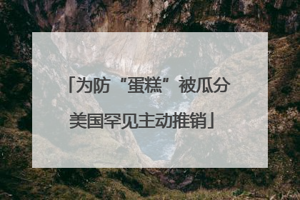 为防“蛋糕”被瓜分 美国罕见主动推销
