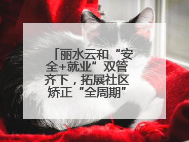 丽水云和“安全+就业”双管齐下，拓展社区矫正“全周期”管理新路径