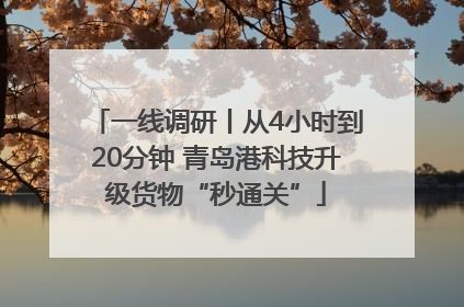 一线调研丨从4小时到20分钟 青岛港科技升级货物“秒通关”