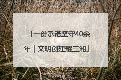 一份承诺坚守40余年｜文明创建耀三湘
