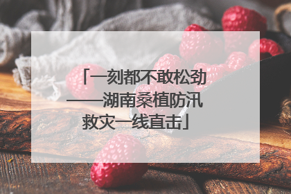 一刻都不敢松劲——湖南桑植防汛救灾一线直击