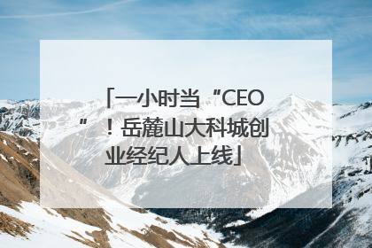 一小时当“CEO”！岳麓山大科城创业经纪人上线