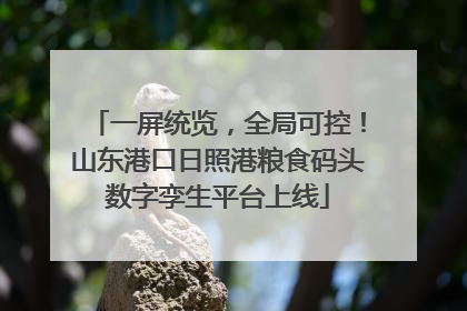 一屏统览，全局可控！山东港口日照港粮食码头数字孪生平台上线