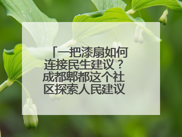 一把漆扇如何连接民生建议？成都郫都这个社区探索人民建议征集新路径