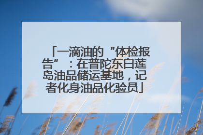 一滴油的“体检报告”：在普陀东白莲岛油品储运基地，记者化身油品化验员
