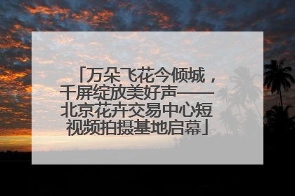 万朵飞花今倾城，千屏绽放美好声——北京花卉交易中心短视频拍摄基地启幕