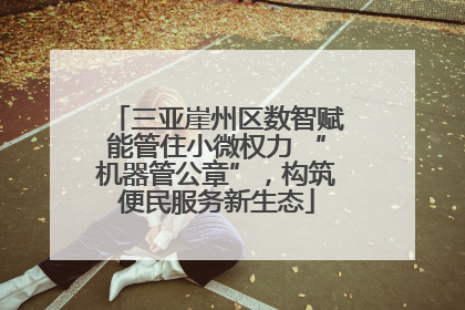 三亚崖州区数智赋能管住小微权力 “机器管公章”，构筑便民服务新生态