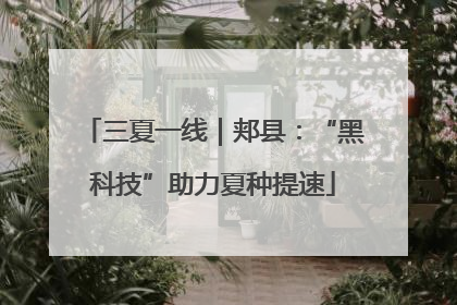三夏一线｜郏县：“黑科技”助力夏种提速