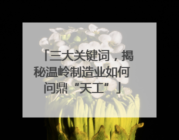 三大关键词，揭秘温岭制造业如何问鼎“天工”