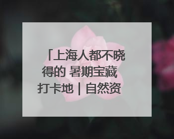 上海人都不晓得的 暑期宝藏打卡地｜自然资源探馆系列②
